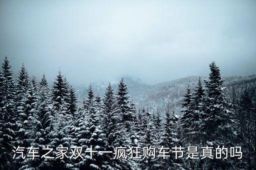 汽車之家雙十一瘋狂購(gòu)車節(jié)是真的嗎