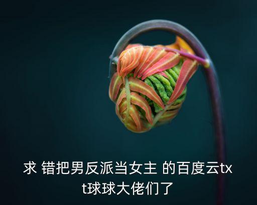 SPMI，求 錯把男反派當女主 的百度云txt球球大佬們了