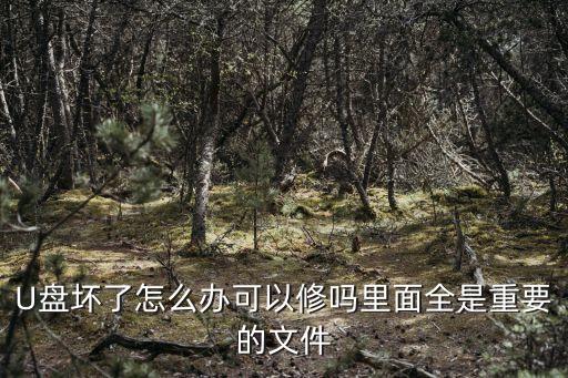 u盤(pán)維修，U盤(pán)壞了怎么修