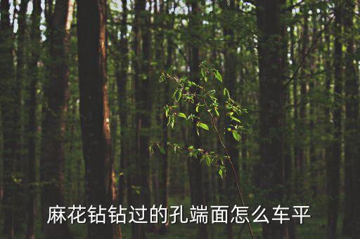 麻花鉆鉆過的孔端面怎么車平