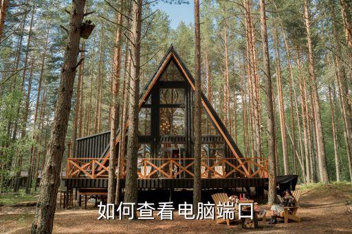 查看端口，怎么查看自己電腦的端口是多少