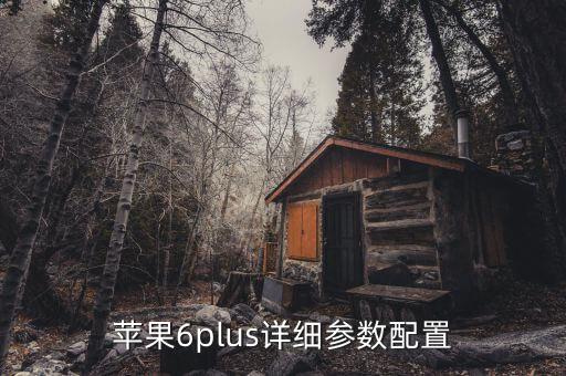 蘋果6plus詳細(xì)參數(shù)配置