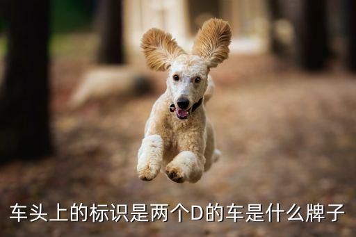 車頭上的標(biāo)識(shí)是兩個(gè)D的車是什么牌子