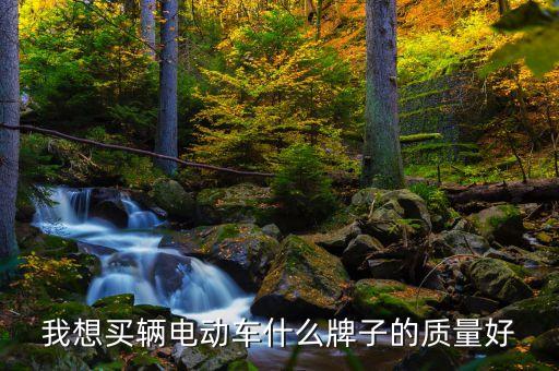 我想買(mǎi)輛電動(dòng)車(chē)什么牌子的質(zhì)量好