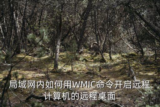 局域網(wǎng)內(nèi)如何用WMIC命令開啟遠(yuǎn)程計(jì)算機(jī)的遠(yuǎn)程桌面