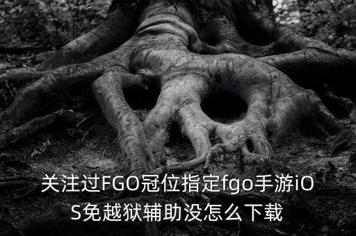 關(guān)注過(guò)FGO冠位指定fgo手游iOS免越獄輔助沒(méi)怎么下載
