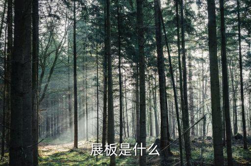 展板是什么