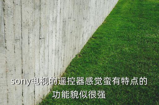 sony電視的遙控器感覺蠻有特點的功能貌似很強(qiáng)