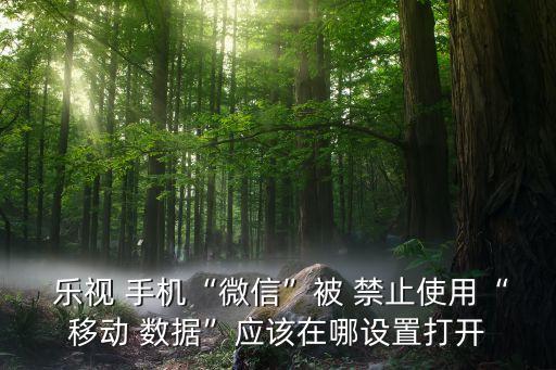  樂視 手機(jī)“微信”被 禁止使用“移動 數(shù)據(jù)”應(yīng)該在哪設(shè)置打開