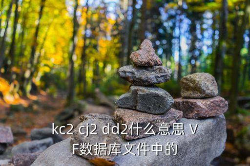 kc2 cj2 dd2什么意思 VF數(shù)據(jù)庫文件中的