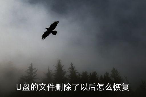 u盤數(shù)據(jù)被誤刪,u盤數(shù)據(jù)被誤刪怎么恢復(fù)?