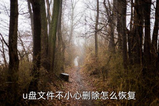 u盤文件不小心刪除怎么恢復