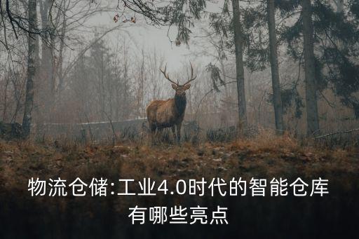 物流倉儲:工業(yè)4.0時代的智能倉庫有哪些亮點(diǎn)