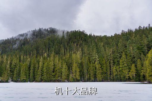機(jī)十大品牌
