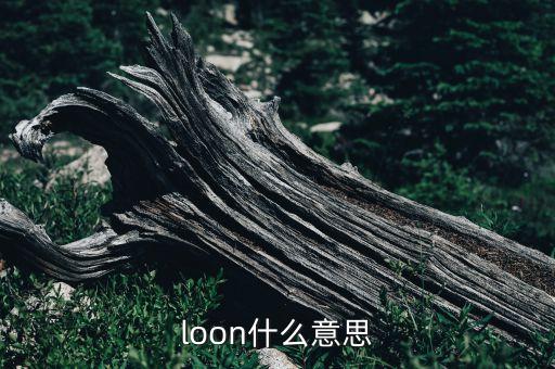 loon什么意思