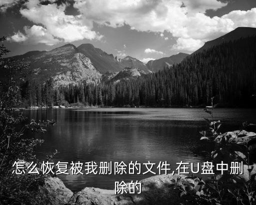 怎么恢復被我刪除的文件,在U盤中刪除的