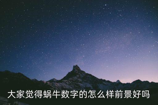 大家覺得蝸牛數(shù)字的怎么樣前景好嗎