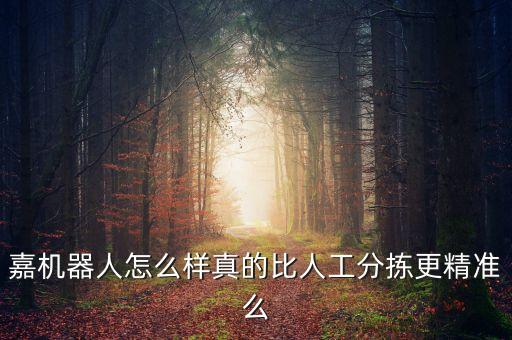 嘉機(jī)器人怎么樣真的比人工分揀更精準(zhǔn)么