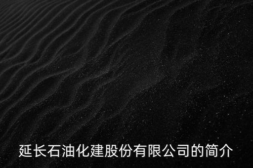 陜西延長燃氣自動化公司,延長石油天然氣公司