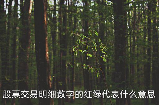 股票交易明細(xì)數(shù)字的紅綠代表什么意思