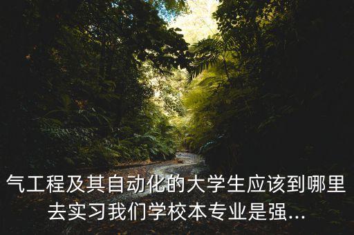 自動化專業(yè)實(shí)習(xí)方向,電氣自動化專業(yè)的實(shí)習(xí)可以做物流嗎?