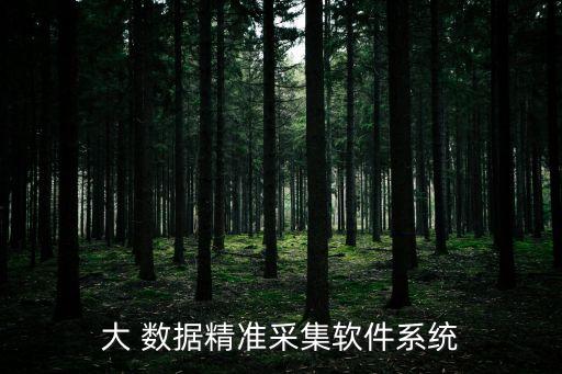 大 數(shù)據(jù)精準(zhǔn)采集軟件系統(tǒng)