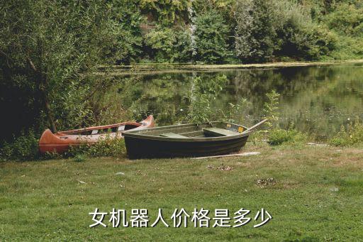 家用保姆機器人價格是多少,保姆機器人價格