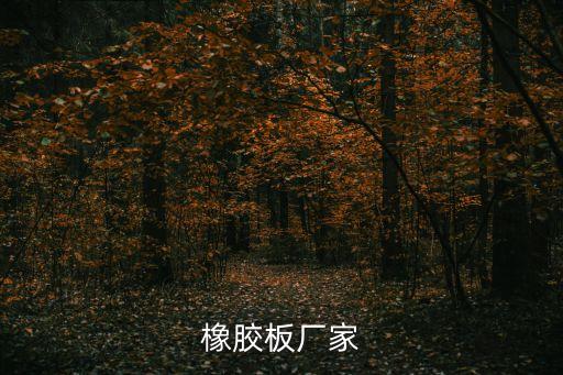 橡膠板廠家