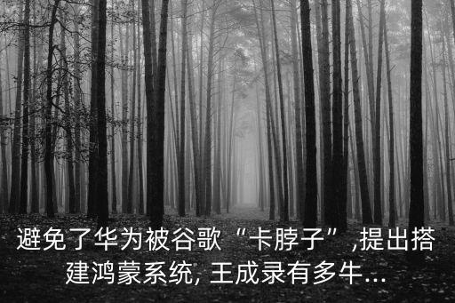 王成錄,成為鴻蒙之父王成錄離職鴻蒙負(fù)責(zé)人從華為離職