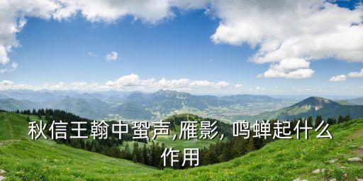 秋信王翰中蛩聲,雁影, 鳴蟬起什么作用