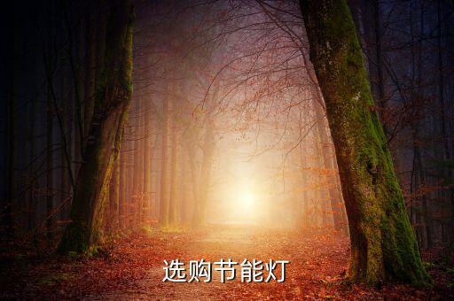 選購節(jié)能燈