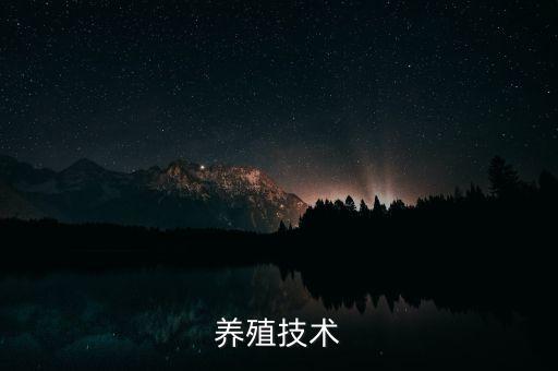 全自動(dòng)化肉鴨養(yǎng)殖設(shè)備,自動(dòng)化肉鴨養(yǎng)殖設(shè)備制造商