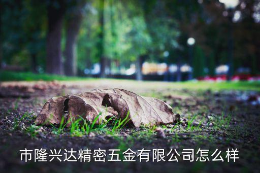 市隆興達精密五金有限公司怎么樣