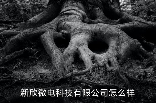 新欣微電科技有限公司怎么樣
