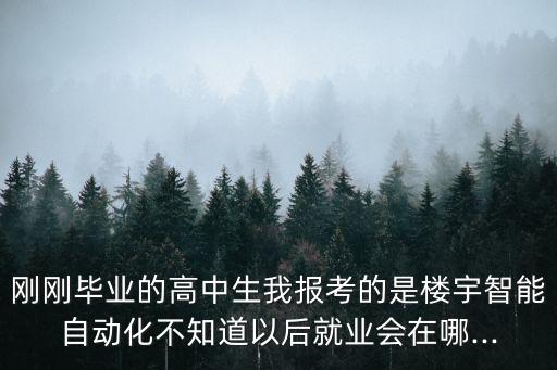 樓宇自動化專業(yè)好找工作嗎,自動化專業(yè)就業(yè)前景如何?