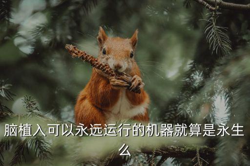 大腦記憶復(fù)制 機(jī)器人,把人的記憶復(fù)制到機(jī)器人身上