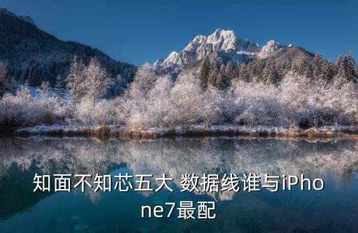 知面不知芯五大 數(shù)據(jù)線誰(shuí)與iPhone7最配