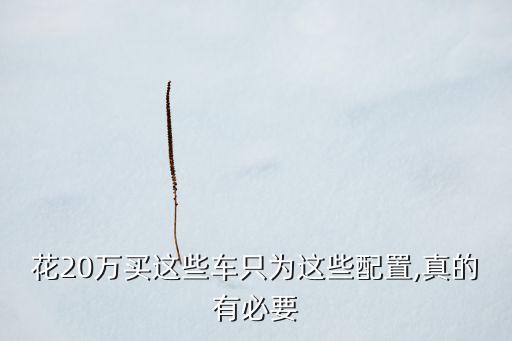 車只