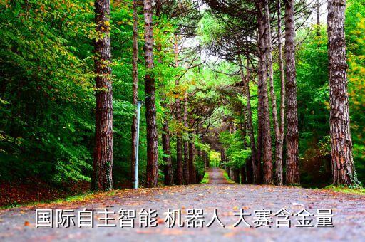 機器人大賽國際,roborave國際機器人大賽