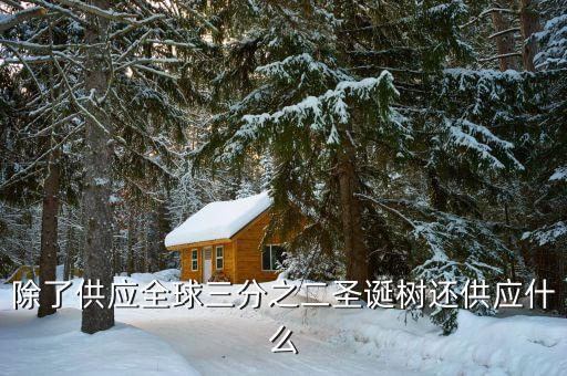 除了供應全球三分之二圣誕樹還供應什么