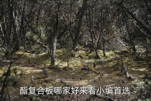 酯復(fù)合板哪家好來看小編首選