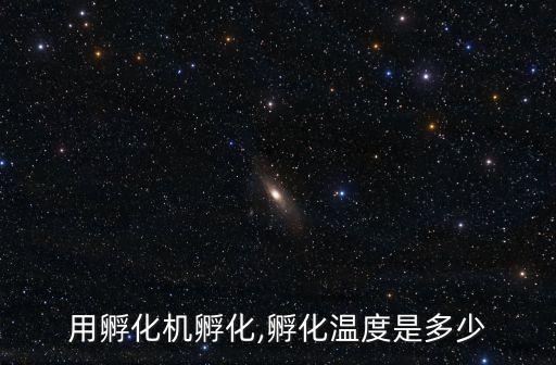 用孵化機孵化,孵化溫度是多少