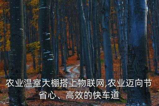 農(nóng)業(yè)溫室大棚搭上物聯(lián)網(wǎng),農(nóng)業(yè)邁向節(jié)省心、高效的快車道