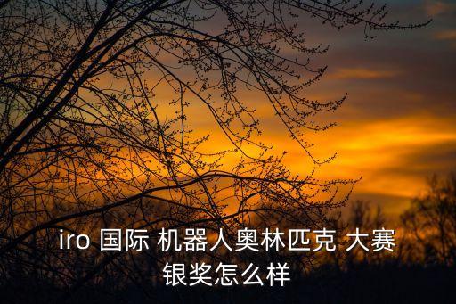 iro 國際 機器人奧林匹克 大賽銀獎怎么樣