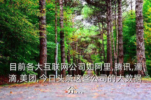 目前各大互聯(lián)網(wǎng)公司如阿里,騰訊,滴滴,美團(tuán),今日頭條這些公司的大數(shù)據(jù)分...