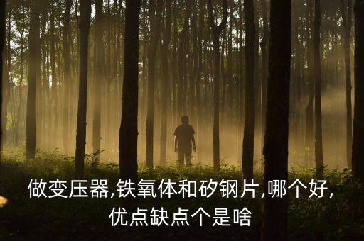 做變壓器,鐵氧體和矽鋼片,哪個好,優(yōu)點缺點個是啥