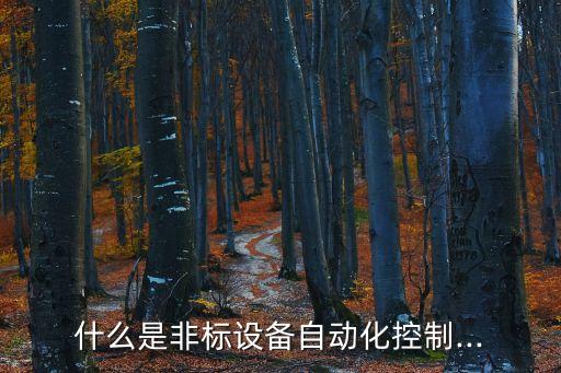 什么是非標設(shè)備自動化控制...