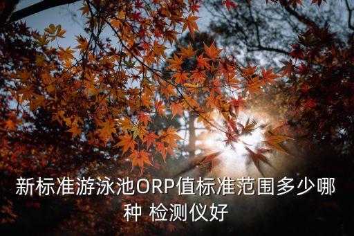 新標(biāo)準(zhǔn)游泳池ORP值標(biāo)準(zhǔn)范圍多少哪種 檢測儀好