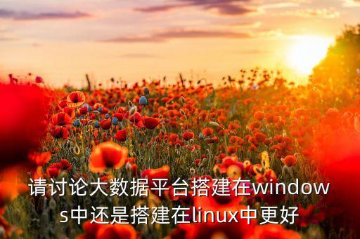請討論大數(shù)據(jù)平臺搭建在windows中還是搭建在linux中更好