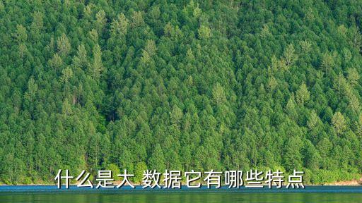 大數(shù)據(jù)現(xiàn)象的產(chǎn)生